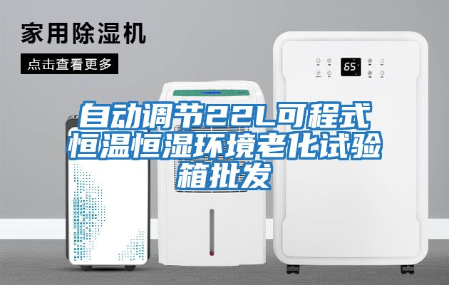 自動(dòng)調節22L可程式恒溫恒濕環(huán)境老化試驗箱批發(fā)