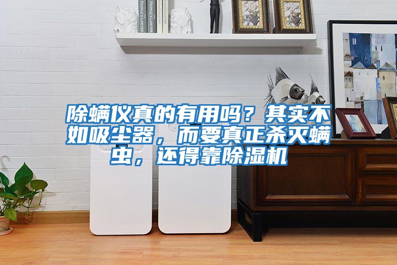 除螨儀真的有用嗎？其實(shí)不如吸塵器，而要真正殺滅螨蟲(chóng)，還得靠除濕機