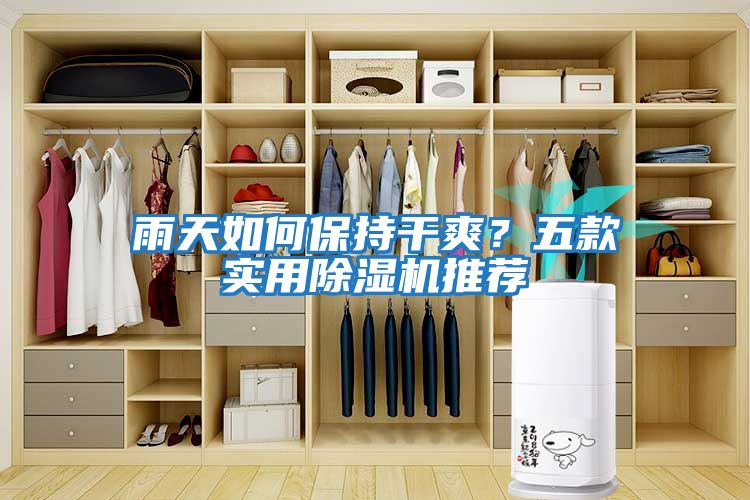 雨天如何保持干爽？五款實(shí)用除濕機推薦