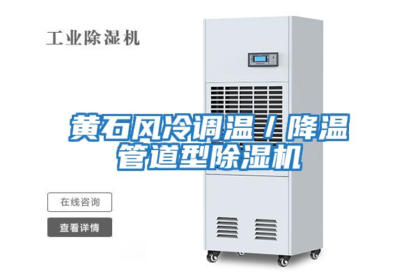 黃石風(fēng)冷調溫／降溫管道型除濕機