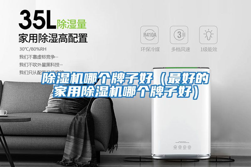除濕機哪個(gè)牌子好（最好的家用除濕機哪個(gè)牌子好）