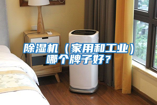 除濕機（家用和工業(yè)）哪個(gè)牌子好？