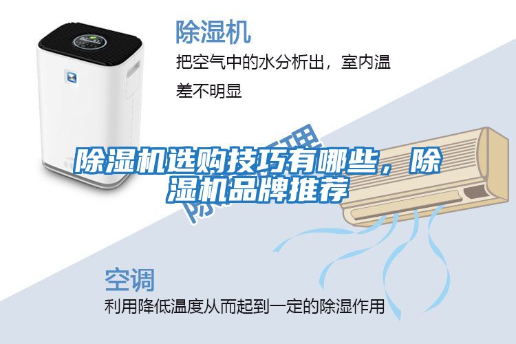 除濕機選購技巧有哪些，除濕機品牌推薦