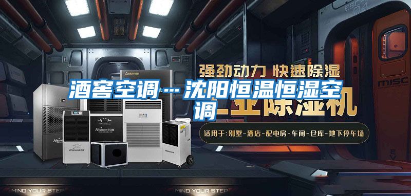 酒窖空調…沈陽(yáng)恒溫恒濕空調