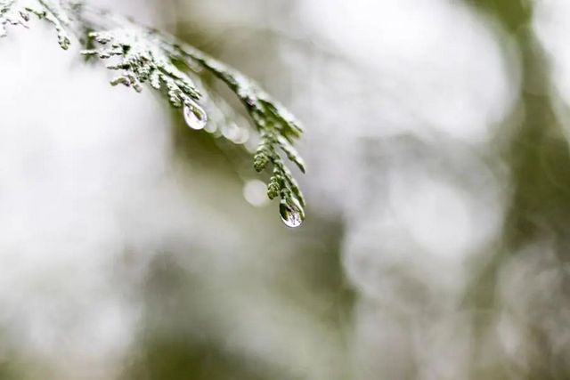 空氣濕度大帶來(lái)的危害有哪些，你知道嗎？