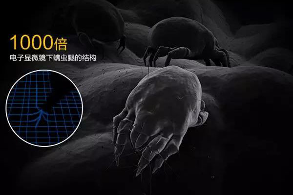 螨蟲(chóng)高發(fā)季，家用除濕機除螨有妙計！