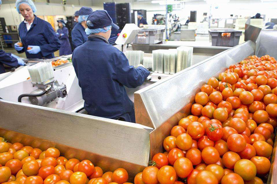 過(guò)量濕度對食品加工和倉儲的影響